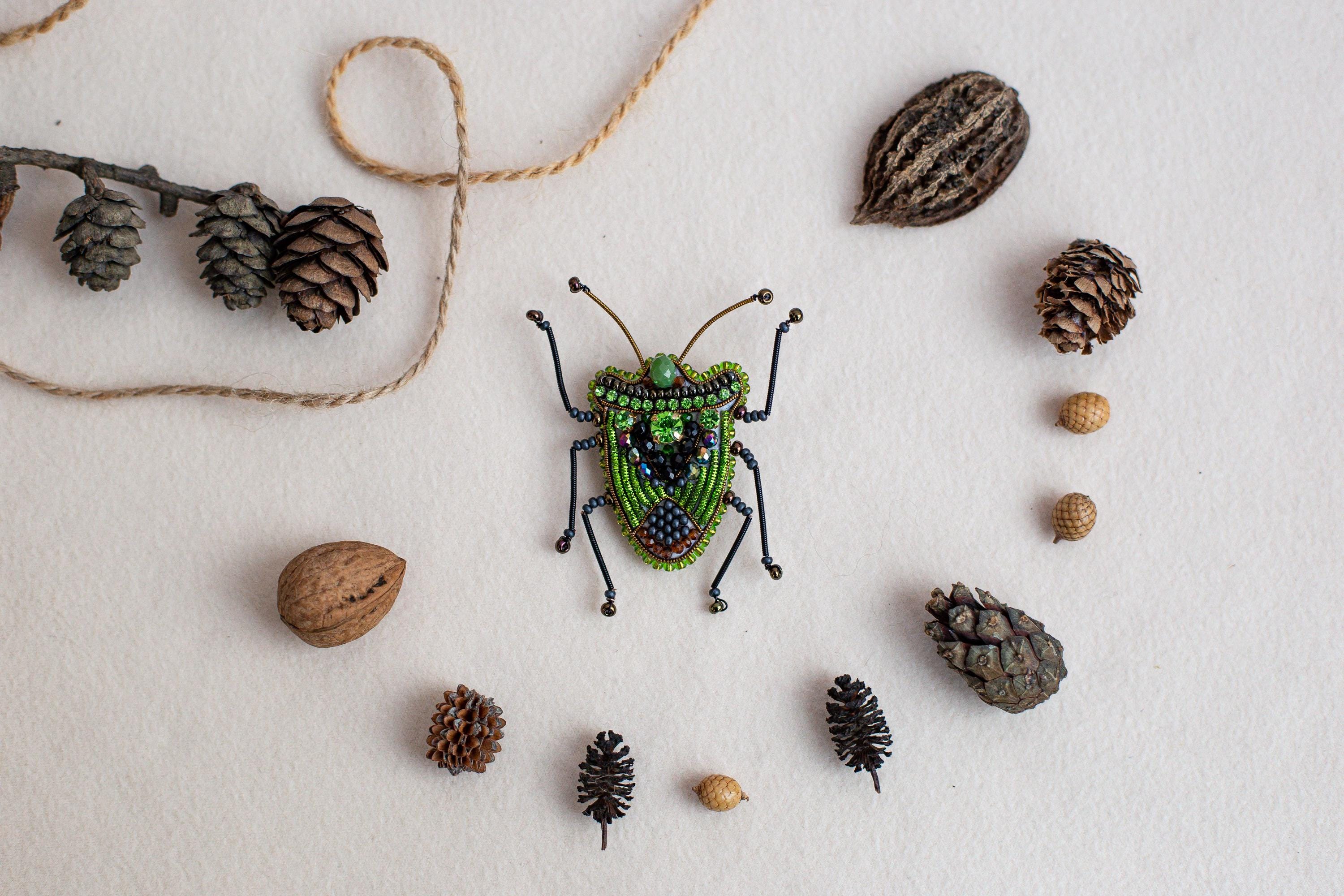 a green bug surrounded by pine cones and acorns